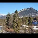 Dachstein Blick *