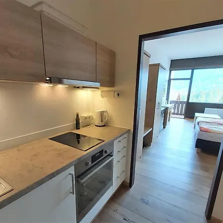 Dachstein Blick Apartment *