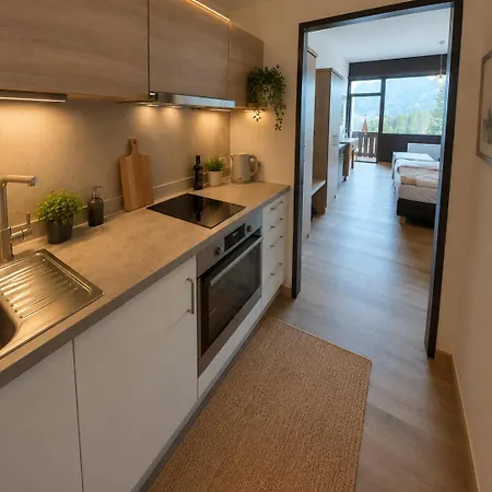 Apartment Dachstein Blick *