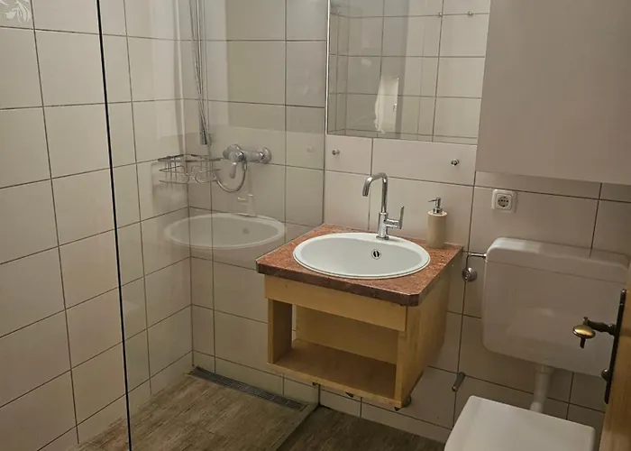 Dachstein Blick * 바드고이세른