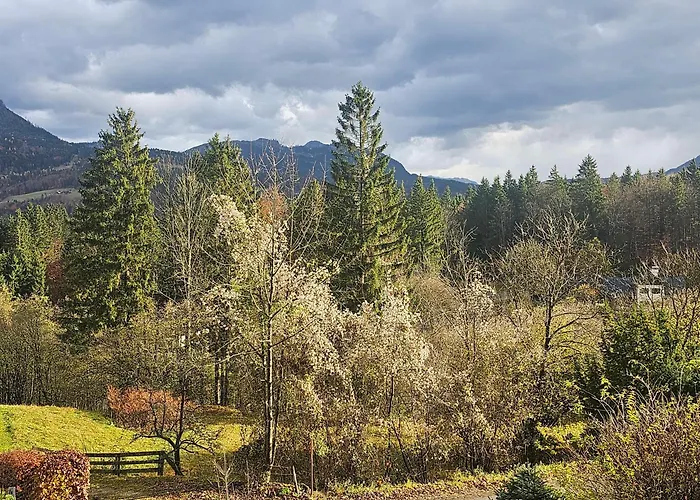 아파트 Dachstein Blick