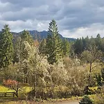 Апартаменты Dachstein Blick